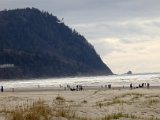Tillamook Light House.jpg